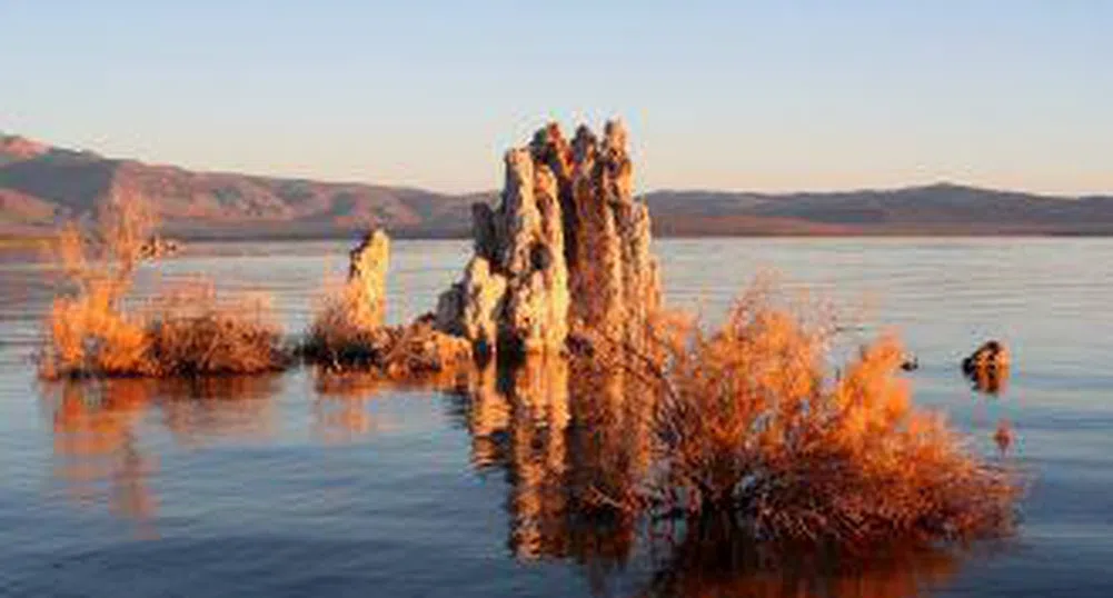 НАСА откри неземен живот