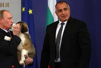 Вестдойче цайтунг: Българската кучешка дипломация