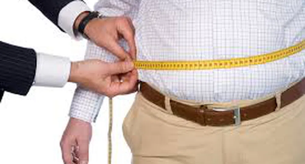 Учени обещават лек срещу затлъстяването