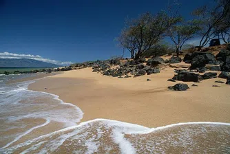 Лари Елисън купува шестия най-голям хавайски остров