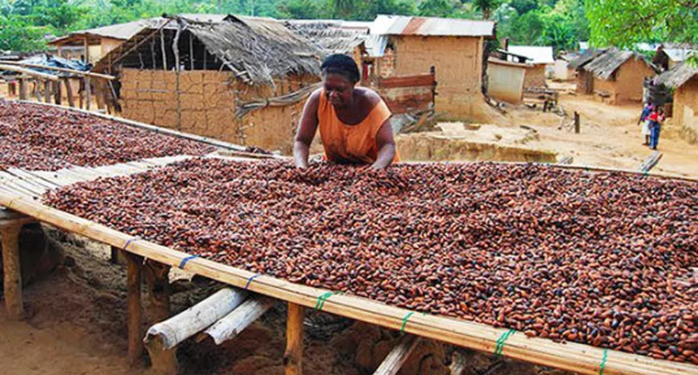 Фермери опитват шоколад за първи път в живота си (видео)