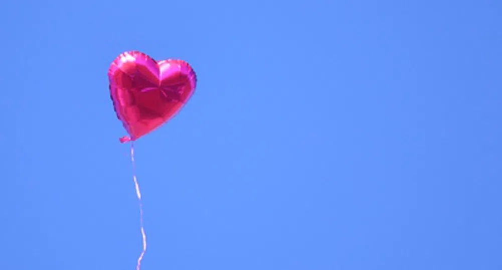 Подарък за Св. Валентин спря тока на 15 000 души в Калифорния