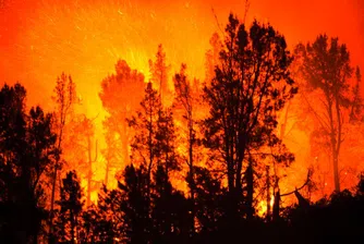 Над 200 декара горят над Бургас