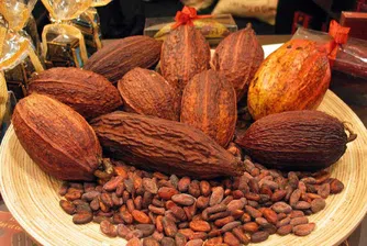 Войната на какаото завърши: Кот д'Ивоар възобновява износа