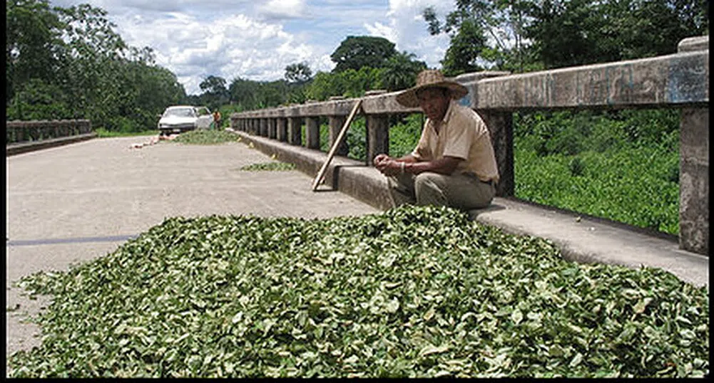 Най-големият производител на кока в света вече не е Колумбия