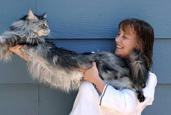 Най-дългата котка в света
