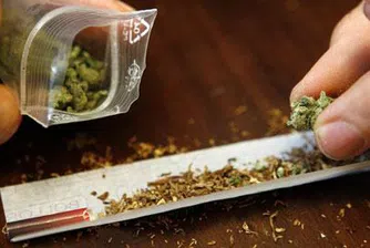 Холандия бавно, но сигурно забранява марихуаната
