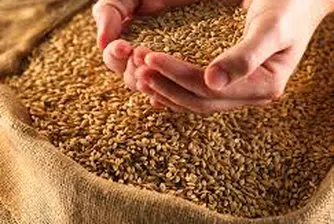Румъния препродава българско жито
