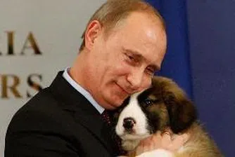 Руснаците мислят ново име на българското куче Йорго