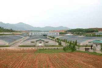 Ким Чен Ун скастри ферма за костенурки, защото не произвежда омар