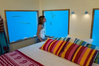 Хотел предлага стая под водата