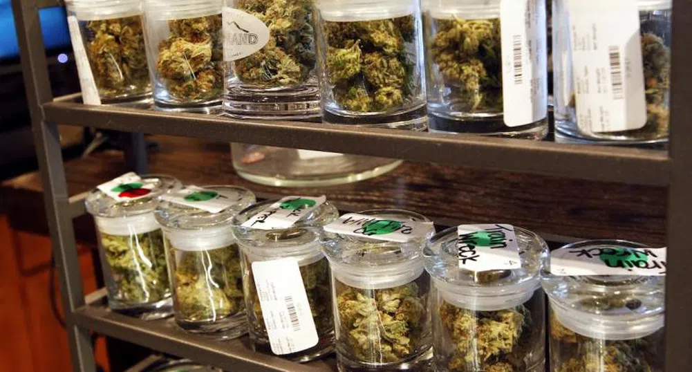Магазините за марихуана в Колорадо отчетоха приходите си