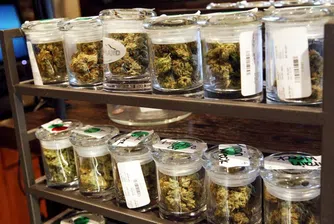 Магазините за марихуана в Колорадо отчетоха приходите си