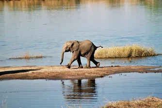 10 от най-интересните африкански резервати