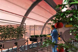 Китай се готви да отглежда зеленчуци на Марс