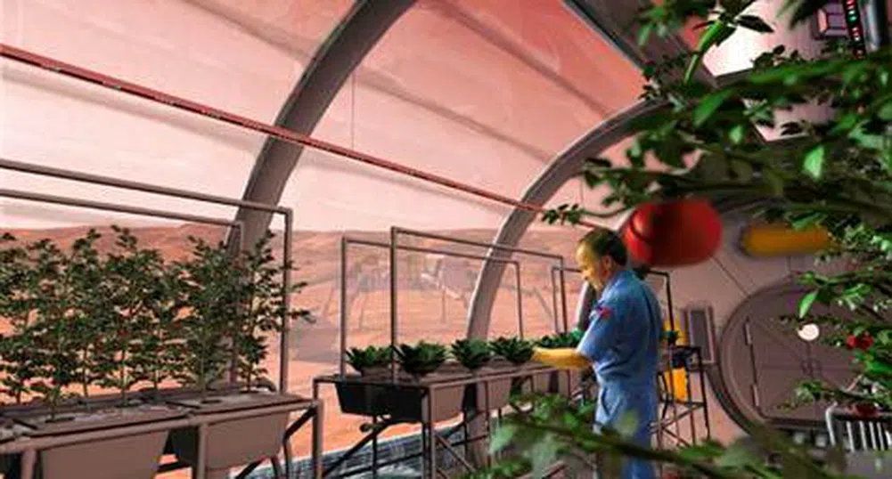 Китай се готви да отглежда зеленчуци на Марс