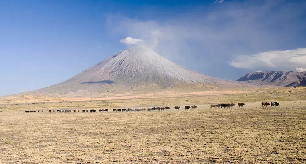 Ол Дойньо Ленгай – най-студеният вулкан в света