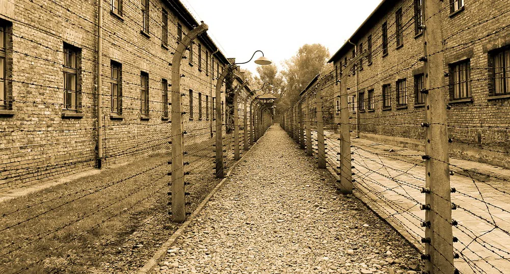Съкровище, неограбено от нацистите, откриха след 70 г. в Аушвиц