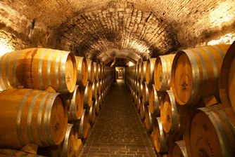 Франция отново произвежда най-много вино в света