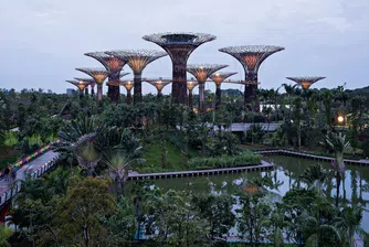 Високотехнологичните дървета на Сингапур