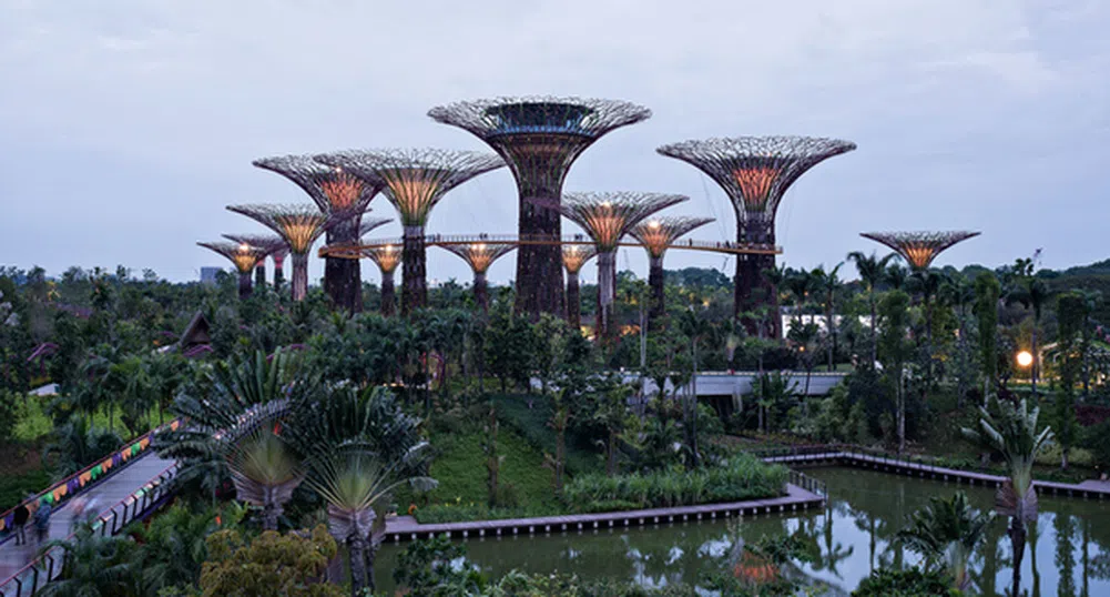 Високотехнологичните дървета на Сингапур