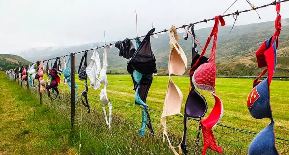 Тази ограда кара жените да свалят бельото си (снимки)