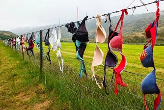 Тази ограда кара жените да свалят бельото си (снимки)