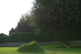 Уникален стол от трева може да израсте и във вашия двор
