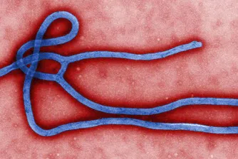 Домейнът Ebola.com се продава за 150 000 долара