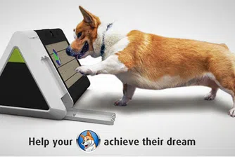 Хонконгска компания представи компютър за кучета