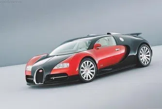 Как пеликан съсипа Bugatti за 1 млн. евро?