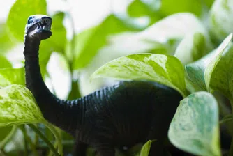 В eBay продават сандък за динозаври за 100 хил. долара