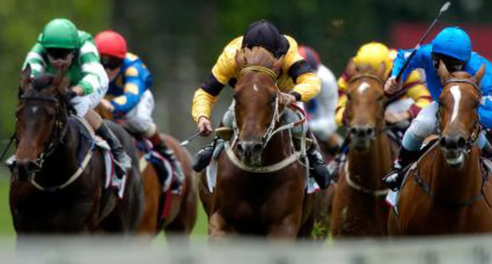 Британец спечели 1.4 милиона лири на конни залагания