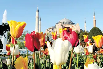 14 млн. лалета цъфтят в Истанбул за Фестивала на лалетата