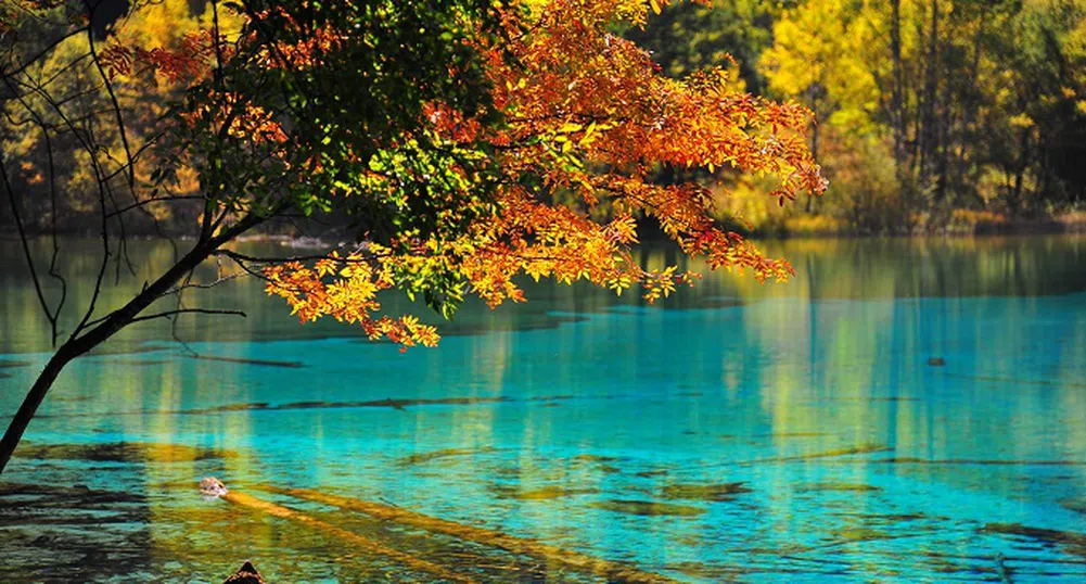 Топ 10 на световните национални паркове, облени в есенни цветове