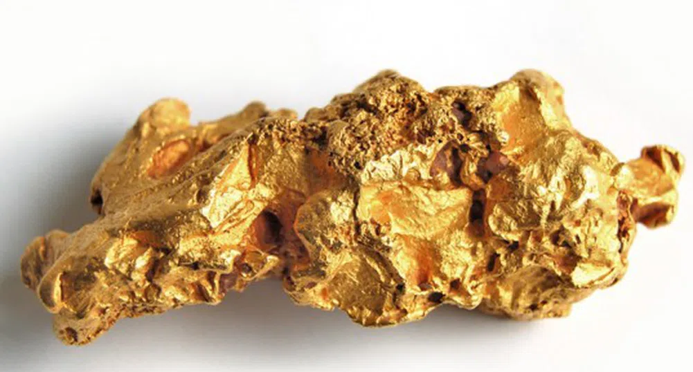 Откриха бактерия, която превръща токсични материали в злато