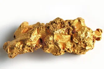 Откриха бактерия, която превръща токсични материали в злато