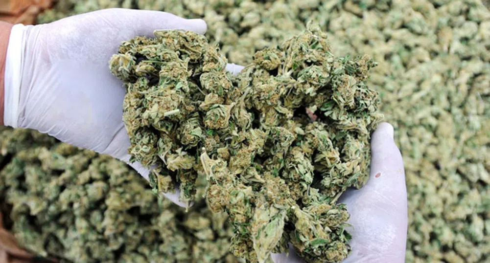 Канада печели 3.6 млрд. долара от легализация на марихуаната