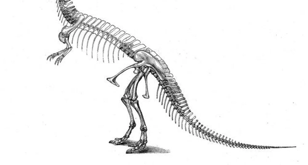 Продадоха скелет от динозавър за 40 хил. паунда