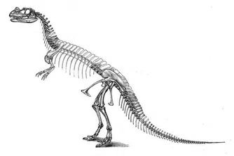 Продадоха скелет от динозавър за 40 хил. паунда