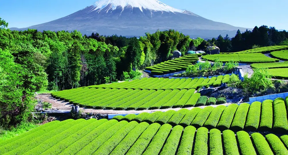 10 причини да посетите Япония