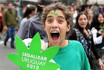 Уругвайският кабинет - дилър на марихуана?