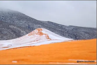 Сняг заваля в Сахара за първи път от близо 40 г.