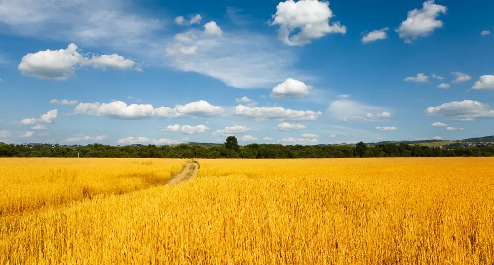 Земеделската земя поскъпва с 8.6% през 2013 г.