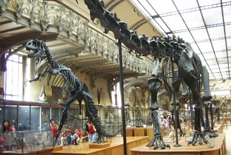 В Мексико откриха динозавър на 72 милиона години