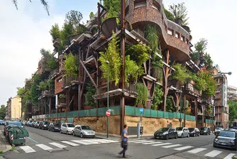 150 дървета пазят градска сграда от шума