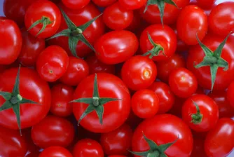 Български домати ще има след 1 април