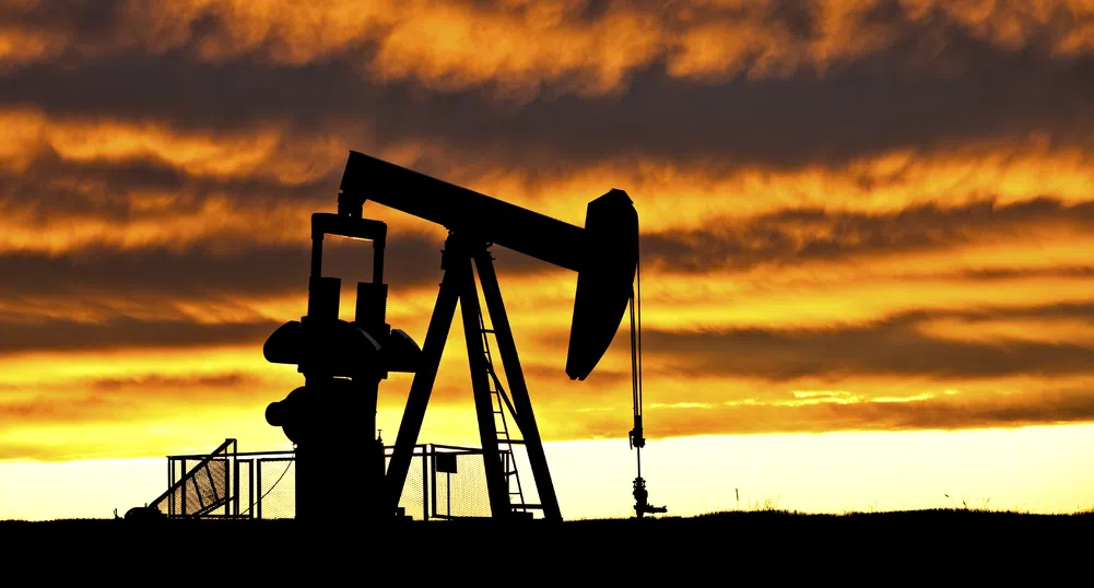 ОАЕ: Цената на петрола ще се повиши през 2016 г.