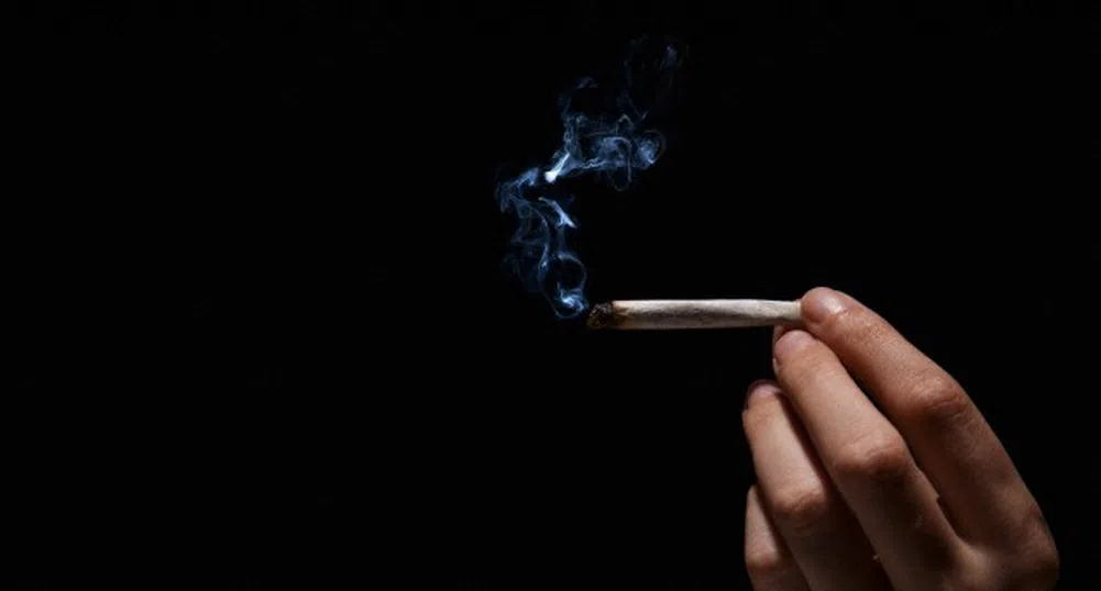 Най-големите митове за марихуаната