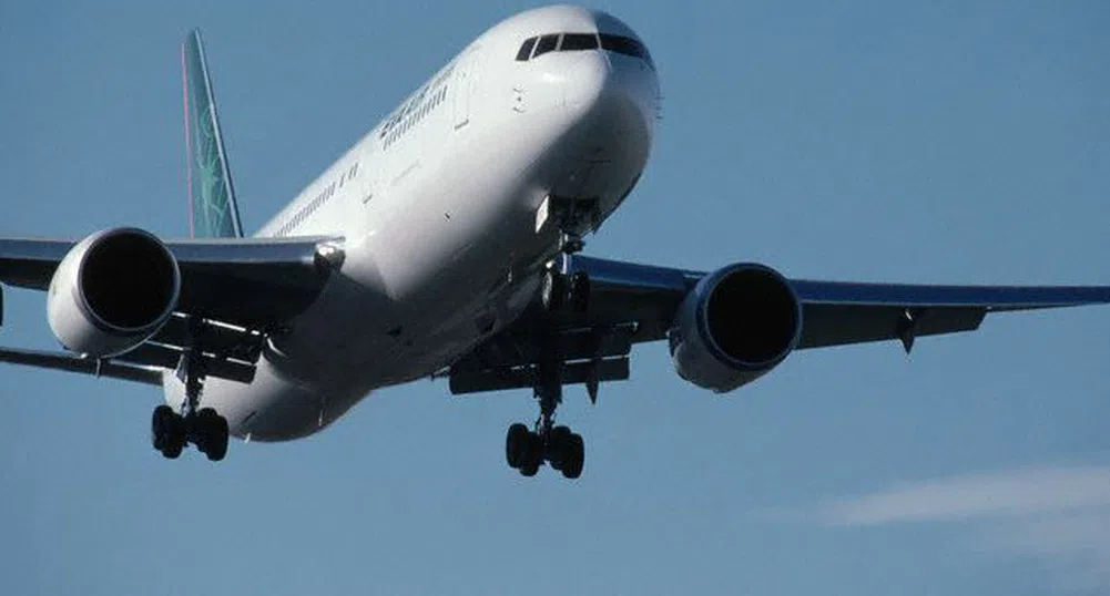 Нелегален пътник изпадна от самолет